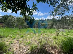 Fazenda / Sítio / Chácara com 2 Quartos à venda, 60m² no Zona Rural, São Sebastião do Oeste - Foto 5