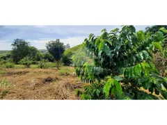 Fazenda / Sítio / Chácara com 3 Quartos à venda, 48400m² no , São Luiz do Paraitinga - Foto 16