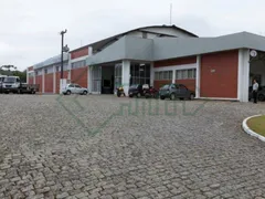 Galpão / Depósito / Armazém à venda, 5000m² no Glória, Joinville - Foto 10