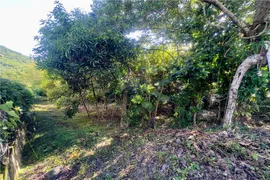 Terreno / Lote / Condomínio à venda, 889m² no Siriuba, Ilhabela - Foto 14
