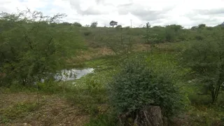 Fazenda / Sítio / Chácara com 1 Quarto à venda, 36000000m² no ALTO DO MOURA, Caruaru - Foto 4