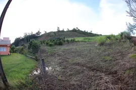 Fazenda / Sítio / Chácara com 3 Quartos à venda, 196m² no Area Rural de Pato Branco, Pato Branco - Foto 30