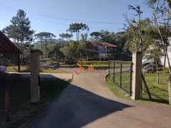 Fazenda / Sítio / Chácara com 4 Quartos à venda, 600m² no Borda do Campo, São José dos Pinhais - Foto 69