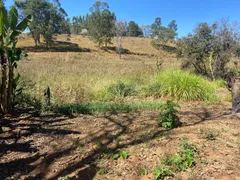 Fazenda / Sítio / Chácara com 3 Quartos à venda, 21000m² no Sao Vicente, Baldim - Foto 10