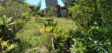 Fazenda / Sítio / Chácara com 3 Quartos à venda, 250m² no Guaraiuva, Vargem - Foto 15