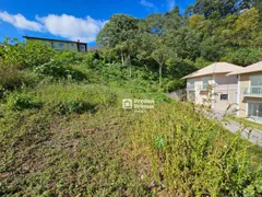 Terreno / Lote / Condomínio à venda, 372m² no Cônego, Nova Friburgo - Foto 5