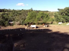 Fazenda / Sítio / Chácara com 6 Quartos à venda, 300m² no , Alpinópolis - Foto 19