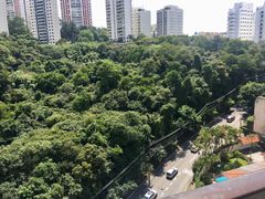 Apartamento com 5 Quartos à venda, 240m² no Vila Suzana, São Paulo - Foto 15