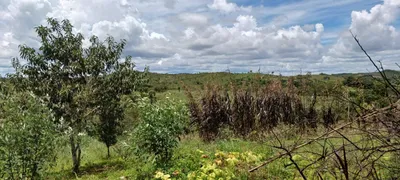 Fazenda / Sítio / Chácara com 4 Quartos à venda, 30000m² no Area Rural do Paranoa, Brasília - Foto 13