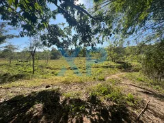 Fazenda / Sítio / Chácara com 3 Quartos à venda, 200m² no Santo Antônio dos Campos, Divinópolis - Foto 37