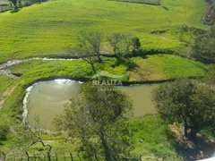 Fazenda / Sítio / Chácara com 3 Quartos à venda, 80m² no Branquinha, Viamão - Foto 2