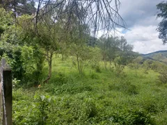 Terreno / Lote / Condomínio à venda, 49000m² no Zona Rural, Camanducaia - Foto 7