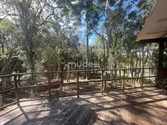 Fazenda / Sítio / Chácara com 4 Quartos à venda, 24000m² no Roça Velha, São José dos Pinhais - Foto 27