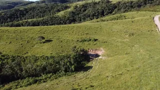 Fazenda / Sítio / Chácara à venda, 3025000m² no Zona Rural, Ibiporã - Foto 14