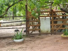 Fazenda / Sítio / Chácara com 3 Quartos à venda, 570m² no Zona Rural, Nísia Floresta - Foto 8