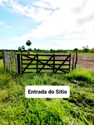 Fazenda / Sítio / Chácara com 3 Quartos à venda, 12000m² no Zona Rural, Lagoa de Pedras - Foto 18