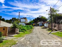 Terreno / Lote / Condomínio à venda, 257m² no Floresta, Joinville - Foto 6