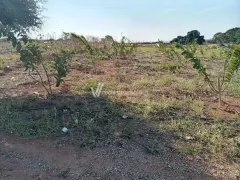 Fazenda / Sítio / Chácara com 3 Quartos à venda, 180m² no Reforma Agraria, Valinhos - Foto 10