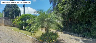Terreno / Lote / Condomínio à venda, 2261m² no Salutaris, Paraíba do Sul - Foto 4