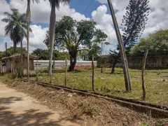 Terreno / Lote / Condomínio com 1 Quarto à venda, 4018m² no Aldeia, Camaragibe - Foto 6