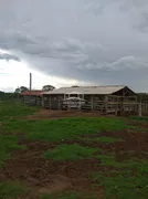 Fazenda / Sítio / Chácara à venda no Centro, Buritizeiro - Foto 3