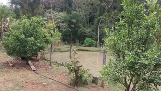 Fazenda / Sítio / Chácara à venda, 7000m² no Campo Largo, Jarinu - Foto 7