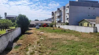 Terreno / Lote / Condomínio com 1 Quarto à venda, 870m² no Vila Varginha, Pinhais - Foto 1