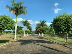 Terreno / Lote / Condomínio à venda, 1989m² no , Itaguajé - Foto 11