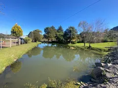 Fazenda / Sítio / Chácara com 1 Quarto à venda, 100m² no Serra Grande, Gramado - Foto 13