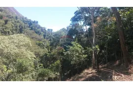 Terreno / Lote / Condomínio à venda, 6926m² no Correas, Petrópolis - Foto 3