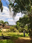 Fazenda / Sítio / Chácara com 2 Quartos à venda, 1000m² no , Silvianópolis - Foto 6