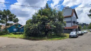 Terreno / Lote / Condomínio à venda, 643m² no Leodoro de Azevedo, Canela - Foto 5