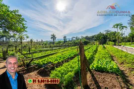 Fazenda / Sítio / Chácara com 2 Quartos à venda, 120m² no Campo da Brazina, Araricá - Foto 21