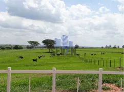 Fazenda / Sítio / Chácara com 16 Quartos à venda, 163m² no Centro, Pirajuí - Foto 8