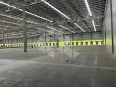 Conjunto Comercial / Sala para alugar, 8002m² no , Flores da Cunha - Foto 3