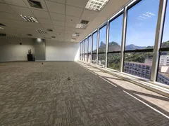 Andar / Laje corporativa para alugar, 749m² no Flamengo, Rio de Janeiro - Foto 5