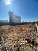 Terreno / Lote / Condomínio à venda, 407m² no Areias, Camboriú - Foto 2
