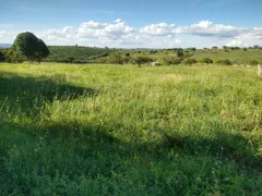 Fazenda / Sítio / Chácara à venda, 40000000m² no Zona Rural, Solânea - Foto 4
