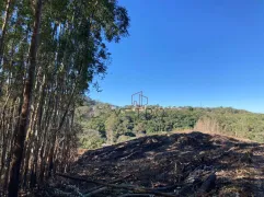 Terreno / Lote / Condomínio à venda, 70000m² no Varzea Grande, Gramado - Foto 5