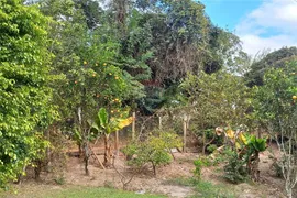 Fazenda / Sítio / Chácara à venda, 2000m² no Floresta, Belo Horizonte - Foto 17