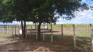 Fazenda / Sítio / Chácara com 6 Quartos à venda, 81m² no Zona Rural, Monte Alegre - Foto 24