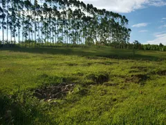Fazenda / Sítio / Chácara com 3 Quartos à venda, 150m² no Zona Rural, Quadra - Foto 12
