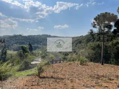 Fazenda / Sítio / Chácara com 7 Quartos à venda, 18000m² no Bateias de Baixo, Campo Alegre - Foto 20