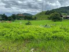 Terreno / Lote Comercial à venda, 12000m² no Parque Industrial, Viana - Foto 1