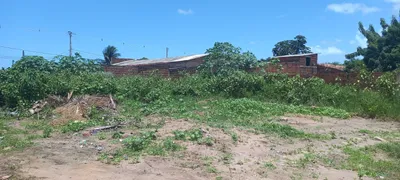 Terreno / Lote / Condomínio à venda, 200m² no Zona Rural, Nísia Floresta - Foto 4