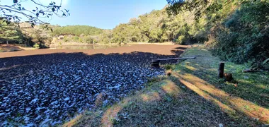 Fazenda / Sítio / Chácara à venda, 27072m² no Centro, Mandirituba - Foto 11