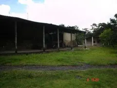 Terreno / Lote Comercial à venda, 43000m² no Santa Marta, Ribeirão das Neves - Foto 4