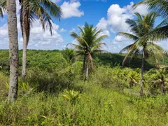 Fazenda / Sítio / Chácara à venda, 150m² no Jabaco, Igarassu - Foto 7