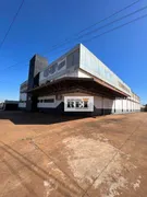 Galpão / Depósito / Armazém para alugar, 5000m² no Nova Vila Maria, Rio Verde - Foto 1