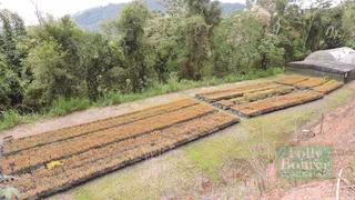 Fazenda / Sítio / Chácara com 4 Quartos à venda, 330000m² no Vargem Grande, Duas Barras - Foto 4